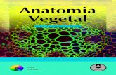 archive.org...C989a Cutler, David F. Anatomia vegetal [recurso eletrônico] : uma abordagem aplicada / David F. Cutler, Ted Botha, Dennis Wm. Stevenson ; tradução: Marcelo ...