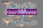 신경의 구조와 운동조절contents.kocw.net/KOCW/document/2015/shinhan/seohankyo/9.pdf · 2016. 9. 9. · 차 경주, 오토바이 경주, 럭비, 격투기 뇌출혈 -두개골
