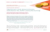 INNOVATOR INSIGHT Upstream and downstreamassets.thermofisher.com/TFS-Assets/BPD/Reference... · 2019. 10. 31. · Upstream and downstream solutions for AAV manufacturing Jessica de