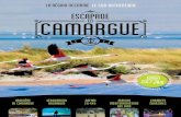 la région occitanie Le Sud authentique CAMARGUE EN · 2019. 3. 12. · Découvrez la Camargue Autrement, à l'occasion d'un safari en 4X4. Au fil de l'eau à bord d'une péniche