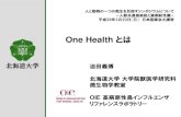 One Health とはsaigaiin.sakura.ne.jp/sblo_files/saigaiin/image/one20...2010-2011 野生水禽、 ニワトリ H5N1 (クレード2.3.2.1) HPAIV 2014 4月 ニワトリ H5N8 (クレード