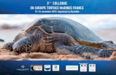 Le suivi des tortues marines sur la façade Manche-Atlantiquegtmf.mnhn.fr/.../2019/03/bilan-aquariumlarochelle.pdf · •Centre de soins hailité à eueilli, soigne et emett e à