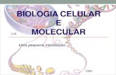 BIOLOGIA CELULAR E MOLECULAR - Moodle USP: e-Disciplinas · 2020. 3. 3. · Biologia Celular e Molecular (2) Botânica (4) Biologia Comparativa dos Animais Domésticos (4) Produção