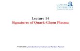 Lecture 14 Signatures of Quark-Gluon Plasmaatlas.physics.arizona.edu/.../B14_QuarkGluonPlasma.pdfhadronic to partonic matter – Quark-Gluon-Plasma – we need a consistent transport