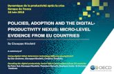 POLICIES, ADOPTION AND THE DIGITAL - PRODUCTIVITY … · 2018. 6. 22. · POLICIES, ADOPTION AND THE DIGITAL - PRODUCTIVITY NEXUS: MICROLEVEL - EVIDENCE FROM EU COUNTRIES . A summary