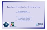 Corinna Kollathhelper.ipam.ucla.edu/publications/qs2009/qs2009_8055.pdf · 2009. 2. 5. · Quantum dynamics in ultracold atoms Corinna Kollath (Ecole Polytechnique Paris, France)