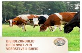 DIERGEZONDHEID DIERENWELZIJN VOEDSELVEILIGHEID · 2019. 9. 30. · melkkwaliteit, diergezondheid en dierenwelzijn. Dit leidt voor melkveehouders en zuivelonderne-mingen tot een onnodige