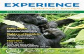 REMARKABLE RWANDA · 2020. 8. 14. · Contents 5. Welcome Message 6. Key facts 7. Rwanda Highlights 8. Remarkable experience - Kigali City 10. Akagera National Park 11. 10 Nyungwe