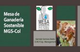Mesa de Ganadería Sostenible MGS-Col · 2020. 10. 28. · Ganadería Sostenible de Colombia, Gestión del Conocimiento y Mercados ... agua, vegetación, fauna, actividades humanas,