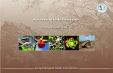 MWF Annual Report 2007-2008...Mauritius Fody (cardinal de Maurice) Foudiarubra Mauritius Fruit Bat (chauve-souris de Maurice) Pteropusniger Mauritius Grey White-eye (pic-pic) Zosteropsmauritianus