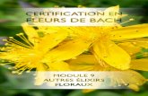 Programme de certification en Fleurs de Bach - Meformer · copyright Autres élixirs floraux Module 9 1 Programme de certification en Fleurs de Bach Aujoud’hui, nous saons tout,