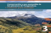 Conservación y uso sostenible de los páramos de Tungurahua ... · y los planes de manejo? Un plan de manejo se lleva a cabo por fases, desde la planificación hasta la evaluación,