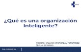 ¿Qué es una organización Inteligente?clinicamedical.com.co/images/intranet/Gerencia/Que_es... · 2021. 7. 21. · inteligente A través de la constante investigación del mercado