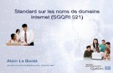 Standard sur les noms de domaine Internet SGQRI 021