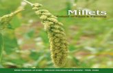Millets - Swaraj Foundation home page