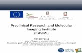 Preclinical Research and Molecular Imaging Institute ISPeMI