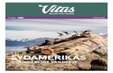 SYDAMERIKAS - Vitus Rejser · den Santiago. Undervejs på vores eventyr skal vi både møde pingviner, ... • Udflugt til Punta Arenas med besøg på Fort Bulnes g patagonsk landejendomo