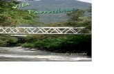 GIUBIASCO VALLE MOROBBIAparrocchia-giubiasco.ch/files/bollettino-11luglio.pdf · 2020. 1. 14. · 2 GIUBIASCO VALLE MOROBBIA In copertina: ponte pedonale sul fiume Morobbia (foto