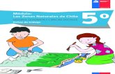 Módulo: Las Zonas Naturales de Chile 5o...Fichas de trabajo / Módulo didáctico / Historia, Geografía y Ciencias Sociales / 5° básico 5 Módulo didáctico: Las Zonas Naturales
