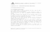 CAPITULO II : DESCRIPCION DEL PROCESO · 2004. 8. 14. · Elaboración y diseño en formato PDF, por la Oficina General del Sistema de Bibliotecas y Biblioteca Central UNMSM CAPITULO
