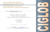 Micro Empresas, PyMES y Desarrollo Económico. Chile y la … · 2020. 7. 15. · las PYMES (sección 2), y por otro, estudiar la experiencia internacional de políticas de apoyo