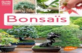Visuel - unitheque.com · de bonsaï. Europe En Europe, le bonsaï a été introduit, d’abord à Paris en 1878 lors de la troisième exposition universelle de Paris, puis un peu