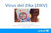Virus del Zika (ZIKV) - UNICEF del... · 2019. 8. 21. · • El virus del Zika (ZIKV) es una infección causada por un virus transmitido por mosquitos del género Aedes (que habitualmente