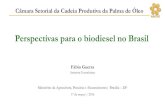 Perspectivas para o biodiesel no Brasil - Gov...Perspectivas para o biodiesel no Brasil Ministério da Agricultura, Pecuária e Abastecimento| Brasília –DF 17 de março | 2016 Fábio