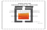 ANÁLISIS DE RIESGO PARA EL SECTOR HIDROCARBUROS104.209.210.233/gobmx/2019/2do_T/A73/d/E-09-DMA0019-03... · 2020. 6. 13. · anÁlisis de riesgo para el sector hidrocarburos “terminal