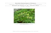 Société Botanique d’Alsace · 2019. 9. 14. · Batteriekopf et du Steinwasen (Metzeral et Wildenstein, Haut-Rhin) 35 Michel Hoff. Yvan Brahy. Clé d’identification des Cornus
