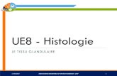 UE8 - Histologie - Association Angevine du Tutorat PASS · 2019. 3. 18. · ue8 - histologie le tissu glandulaire 11/03/2019 association angevine du tutorat pluripass - 2atp 1