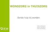 WONDZORG in THUISZORG - UAntwerpen · 2019. 11. 29. · WONDZORG in THUISZORG Eerste hulp bij wonden Patricia Wijnands Expert Wondzorg ZNA Stuivenberg