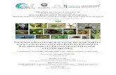 MÉMOIRE DE STAGE DE FIN D’ÉTUDEeee.mnhn.fr/wp-content/uploads/sites/9/2018/11/... · ÉMOIRE DE STAGE DE FIN D ... Mémoire de Master 2 professionnel Biodiversité, Ecologie,