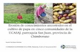 Erosión de conocimientos ancestrales en el cultivo de papa en cinco comunidades de la ...infoandina.org/infoandina/sites/default/files/news/files/... · 2016. 12. 7. · Erosión