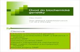 2009 Úvod do biochemické genetiky [Režim kompatibility] · 2009. 11. 18. · Úvod do biochemickéÚvod do biochemickégenetiky Viktor Kožich Ústav dědičných metabolických
