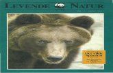 Europas natur: Spanienawsassets.wwfdk.panda.org/downloads/levendenatur1993_2... · 2012. 4. 27. · i Spanien lever den europæiske bjørn. Her har den fundet et fristed, og Spa-nien