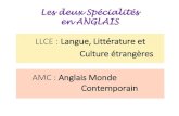 LLCE : Langue, Littérature et Culture étrangères AMC : Anglais Monde Contemporain · 2021. 2. 2. · anglais monde contemporain (amc) travail sur la langue parlee et ecrite travail
