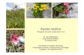 Pregled izbranih rastlinskih vrst · 2014. 9. 21. · Zoisova zvončica (Campanula zoysii) je reliktni endemit Jugovzhodnih Alp, v Sloveniji razširjena v Julijskih in Kamniško-Savinjskih