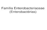 Família Enterobacteriaceae (Enterobactérias)