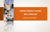 Infeksi bakteri aerob dan anaerob - FKK UMJ