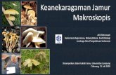 Keanekaragaman Jamur Makroskopis - Unila