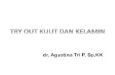 dr. Agustina Tri P. Sp - meducine.storage.googleapis.com