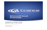 Microsoft Excel Avanzado - CCANCE