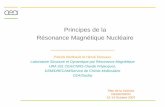 Principes de la Résonance Magnétique Nucléaire
