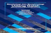 Bioekologi dan Bioteknologi Udang Galah (Macrobrachium ...