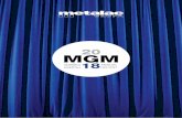 20 MGM - Metalac