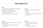 Receptores - UNIP.br