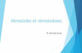 Nématodes et nématodoses - univ.ency-education.com