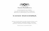 CASO HAVANNA - UdeSA