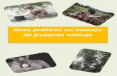 Boas práticas no manejo de fruteiras nativas